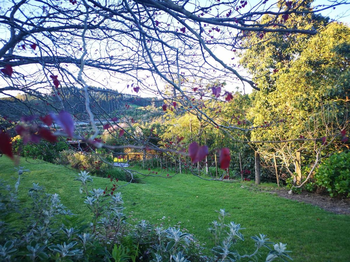 River Side Lodge Whakamarama Екстериор снимка